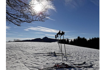 Ski de randonnée nordique & Crêt de Chalam 